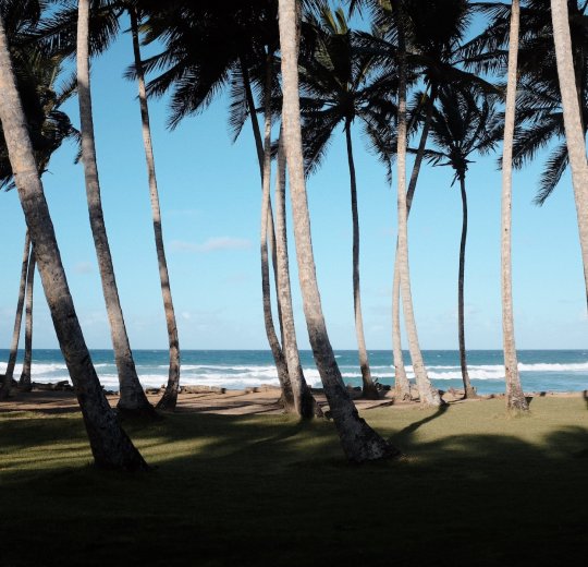 Туры в Доминикану 2025 из Москвы - цена на отдых от туроператора Анекс Туры в Доминикану 2025 из Москвы - цена на отдых от туроператора Анекс