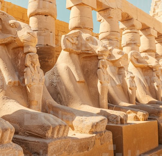 Туры в Египет 2025 из Москвы - цена на отдых от туроператора Анекс Туры в Египет 2025 из Москвы - цена на отдых от туроператора Анекс