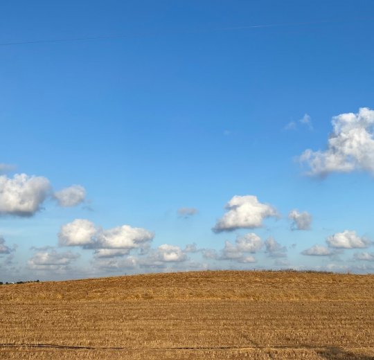 Туры в Израиль 2025 из Москвы - цена на отдых от туроператора Анекс Туры в Израиль 2025 из Москвы - цена на отдых от туроператора Анекс