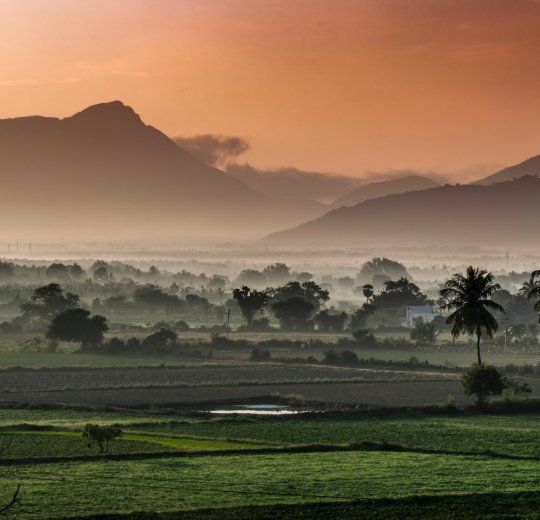 Туры в Индию 2025 из Москвы - цена на отдых от туроператора Анекс Туры в Индию 2025 из Москвы - цена на отдых от туроператора Анекс