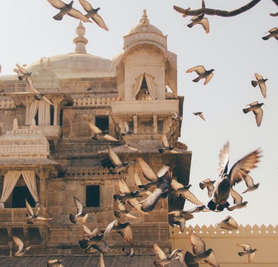 Туры в Индию 2025 из Москвы - цена на отдых от туроператора Анекс Туры в Индию 2025 из Москвы - цена на отдых от туроператора Анекс