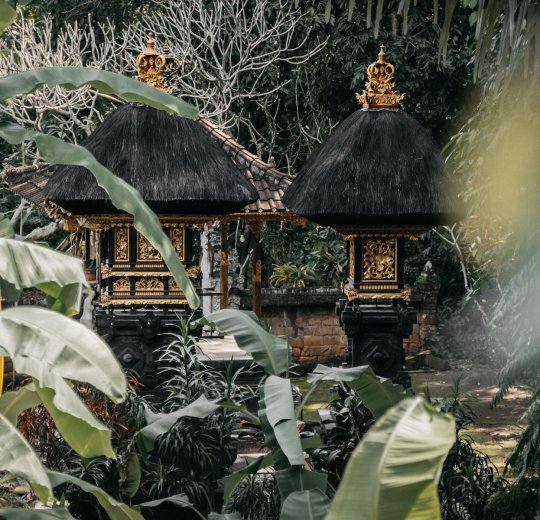 Туры в Индонезию 2025 из Москвы - цена на отдых от туроператора Анекс Туры в Индонезию 2025 из Москвы - цена на отдых от туроператора Анекс