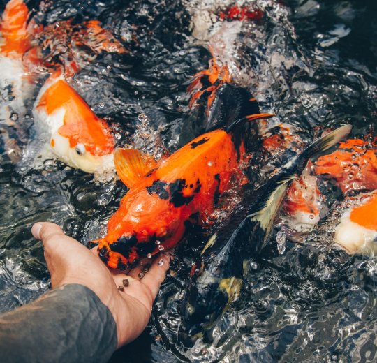 Туры в Индонезию 2025 из Москвы - цена на отдых от туроператора Анекс Туры в Индонезию 2025 из Москвы - цена на отдых от туроператора Анекс