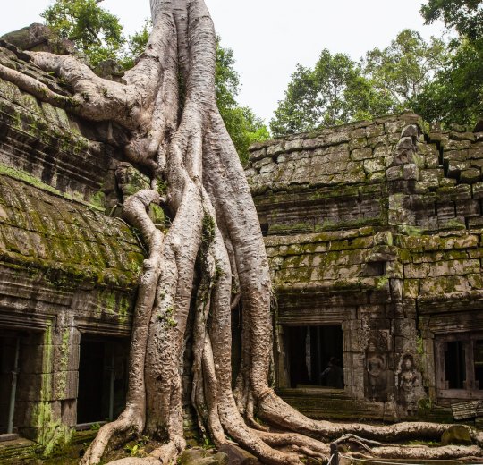 Туры в Камбоджу 2025 из Москвы - цена на отдых от туроператора Анекс Туры в Камбоджу 2025 из Москвы - цена на отдых от туроператора Анекс