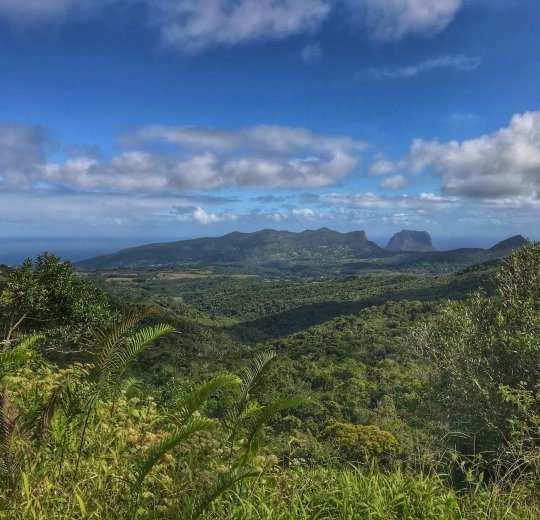 Туры на Маврикий 2025 из Москвы - цена на отдых от туроператора Анекс Туры на Маврикий 2025 из Москвы - цена на отдых от туроператора Анекс