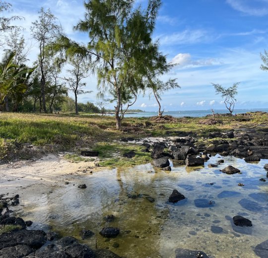 Туры на Маврикий 2025 из Москвы - цена на отдых от туроператора Анекс Туры на Маврикий 2025 из Москвы - цена на отдых от туроператора Анекс