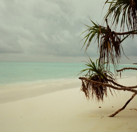 Туры на Мальдивы 2025 из Москвы - цена на отдых от туроператора Анекс Туры на Мальдивы 2025 из Москвы - цена на отдых от туроператора Анекс