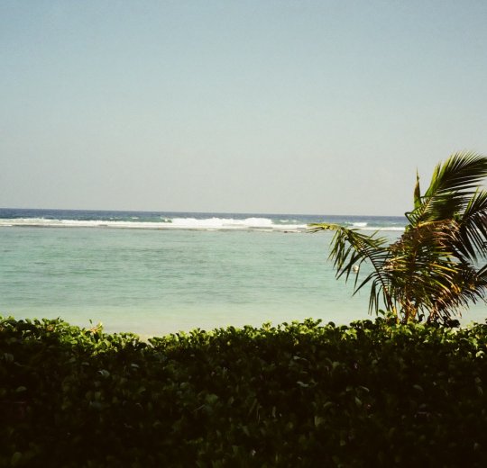 Туры на Мальдивы 2025 из Москвы - цена на отдых от туроператора Анекс Туры на Мальдивы 2025 из Москвы - цена на отдых от туроператора Анекс