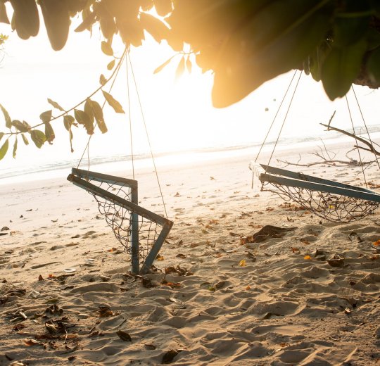 Туры на Мальдивы 2025 из Москвы - цена на отдых от туроператора Анекс Туры на Мальдивы 2025 из Москвы - цена на отдых от туроператора Анекс