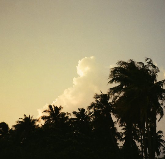 Туры на Мальдивы 2025 из Москвы - цена на отдых от туроператора Анекс Туры на Мальдивы 2025 из Москвы - цена на отдых от туроператора Анекс