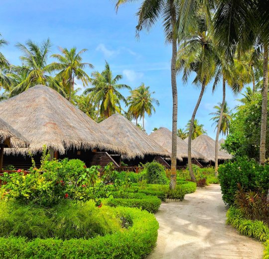 Туры на Мальдивы 2025 из Москвы - цена на отдых от туроператора Анекс Туры на Мальдивы 2025 из Москвы - цена на отдых от туроператора Анекс