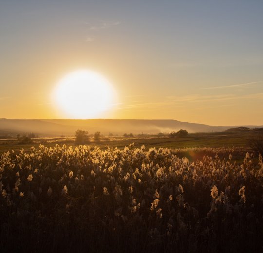 Туры в Россию 2025 из Москвы - цена на отдых от туроператора Анекс Туры в Россию 2025 из Москвы - цена на отдых от туроператора Анекс