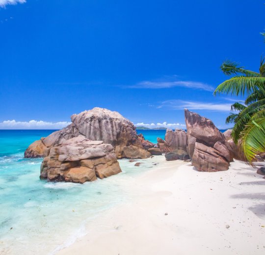 Туры на Сейшелы 2025 из Москвы - цена на отдых от туроператора Анекс Туры на Сейшелы 2025 из Москвы - цена на отдых от туроператора Анекс