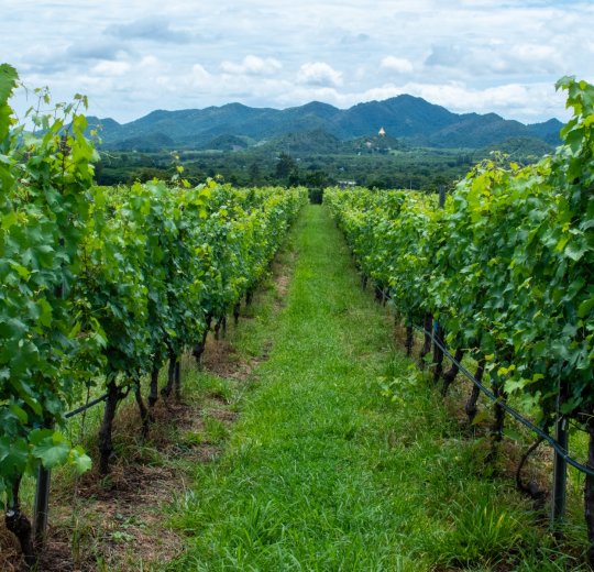 Туры в Хуа Хин 2025 - цены на путевки в Таиланд из Москвы от туроператора Анекс Туры в Хуа Хин 2025 - цены на путевки в Таиланд из Москвы от туроператора Анекс