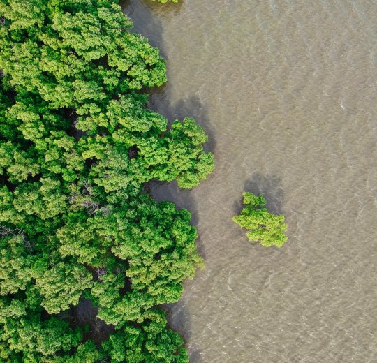 Туры на о. Чанг 2025 - цены на путевки в Таиланд из Москвы от туроператора Анекс Туры на о. Чанг 2025 - цены на путевки в Таиланд из Москвы от туроператора Анекс