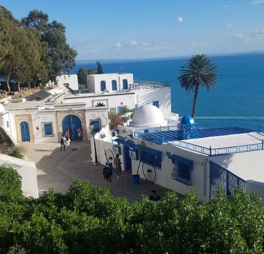 Туры в Тунис 2025 из Москвы - цена на отдых от туроператора Анекс Туры в Тунис 2025 из Москвы - цена на отдых от туроператора Анекс