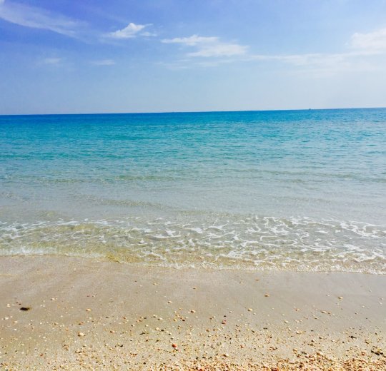 Туры в Тунис 2025 из Москвы - цена на отдых от туроператора Анекс Туры в Тунис 2025 из Москвы - цена на отдых от туроператора Анекс