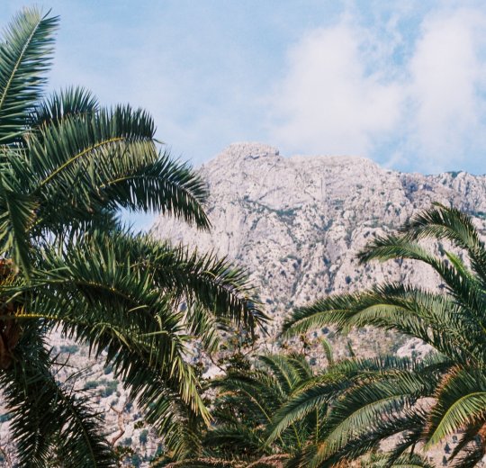 Туры в Черногорию 2025 из Москвы - цена на отдых от туроператора Анекс Туры в Черногорию 2025 из Москвы - цена на отдых от туроператора Анекс