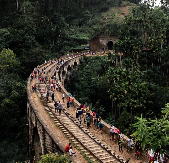 Туры в Шри-Ланку 2025 из Москвы - цена на отдых от туроператора Анекс Туры в Шри-Ланку 2025 из Москвы - цена на отдых от туроператора Анекс