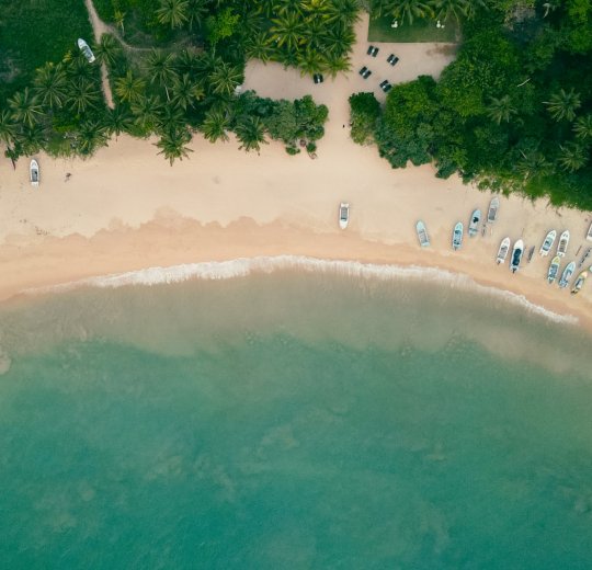 Туры в Шри-Ланку 2025 из Москвы - цена на отдых от туроператора Анекс Туры в Шри-Ланку 2025 из Москвы - цена на отдых от туроператора Анекс