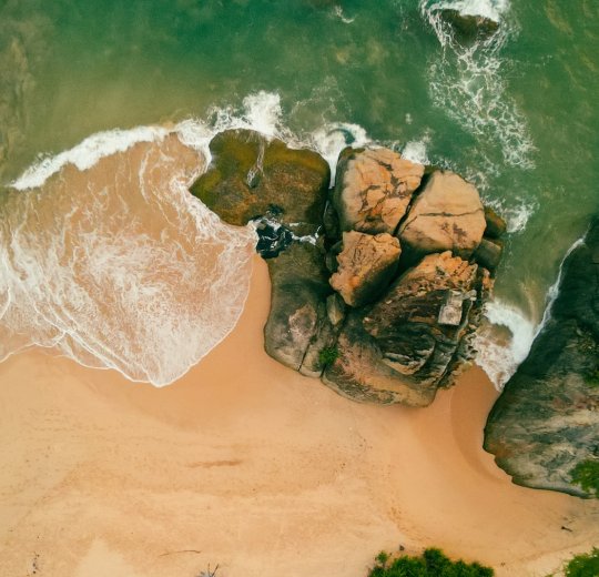 Туры в Шри-Ланку 2025 из Москвы - цена на отдых от туроператора Анекс Туры в Шри-Ланку 2025 из Москвы - цена на отдых от туроператора Анекс