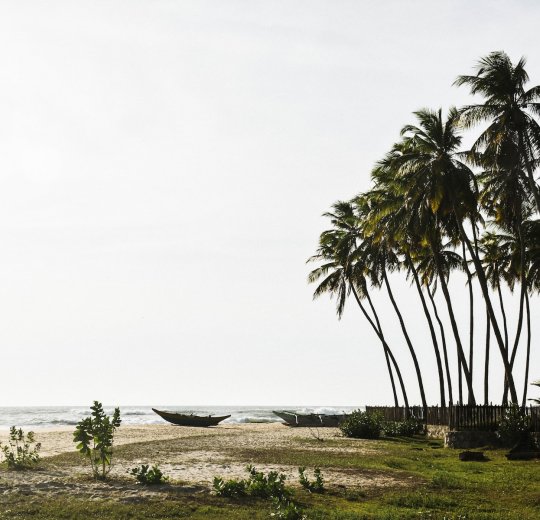 Туры в Шри-Ланку 2025 из Москвы - цена на отдых от туроператора Анекс Туры в Шри-Ланку 2025 из Москвы - цена на отдых от туроператора Анекс
