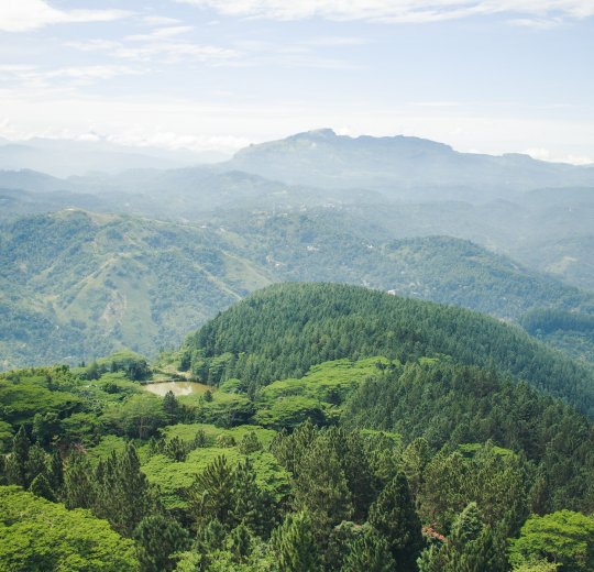 Туры в Шри-Ланку 2025 из Москвы - цена на отдых от туроператора Анекс Туры в Шри-Ланку 2025 из Москвы - цена на отдых от туроператора Анекс